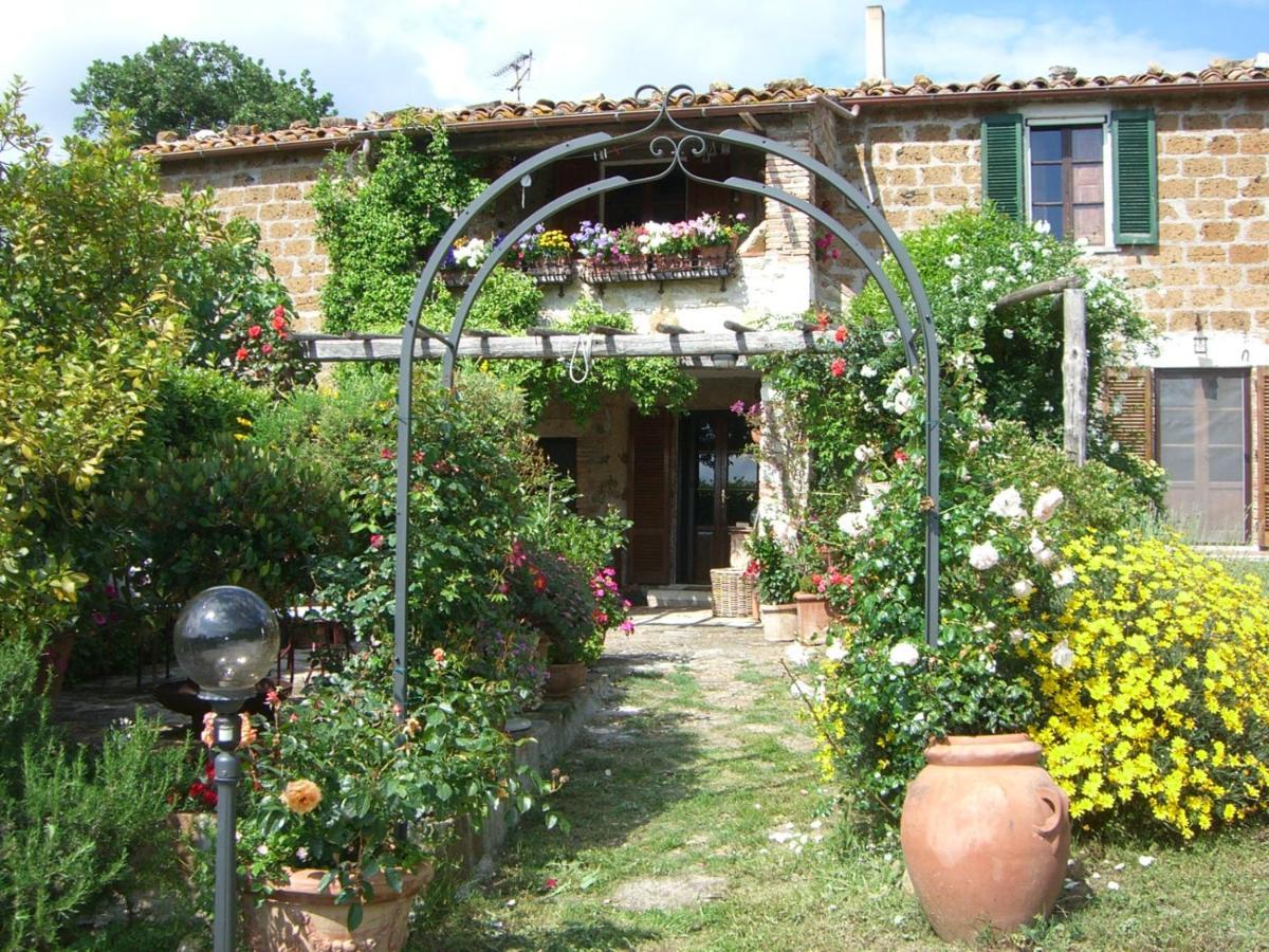 Le Querciolaie Monte Cavallo - Upper Apartment Saturnia Dış mekan fotoğraf