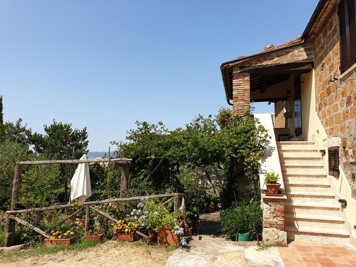 Le Querciolaie Monte Cavallo - Upper Apartment Saturnia Dış mekan fotoğraf